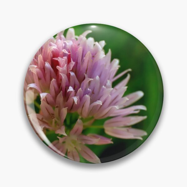 Item preview, Chive flower designed and sold by annalisa56.