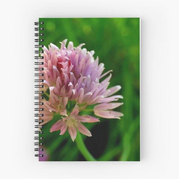 Item preview, Chive flower designed and sold by annalisa56.