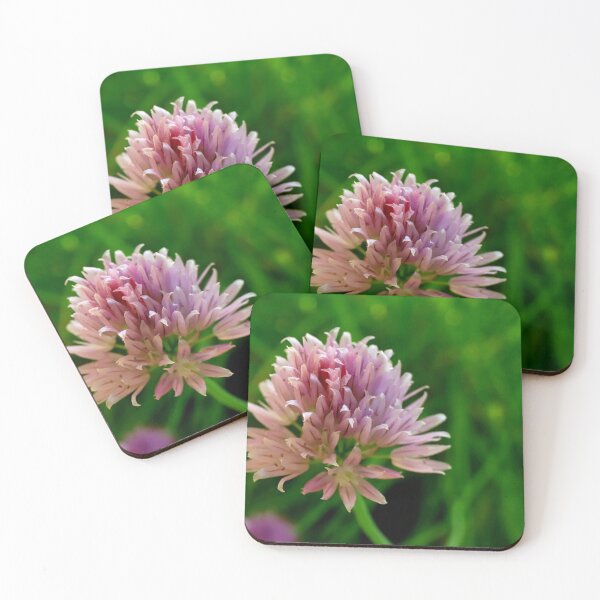 Item preview, Chive flower designed and sold by annalisa56.