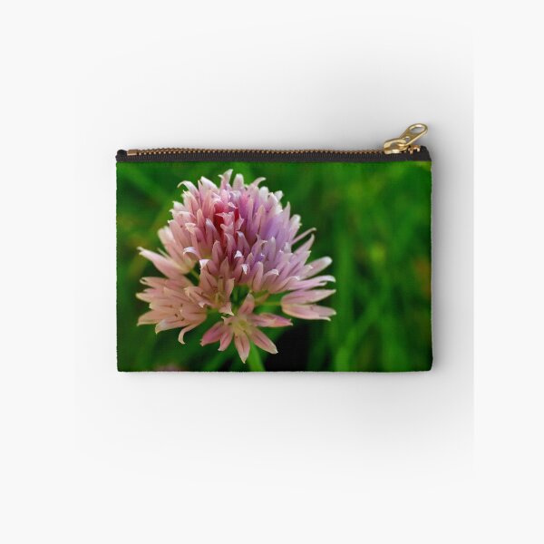 Item preview, Chive flower designed and sold by annalisa56.