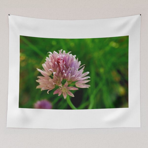 Item preview, Chive flower designed and sold by annalisa56.