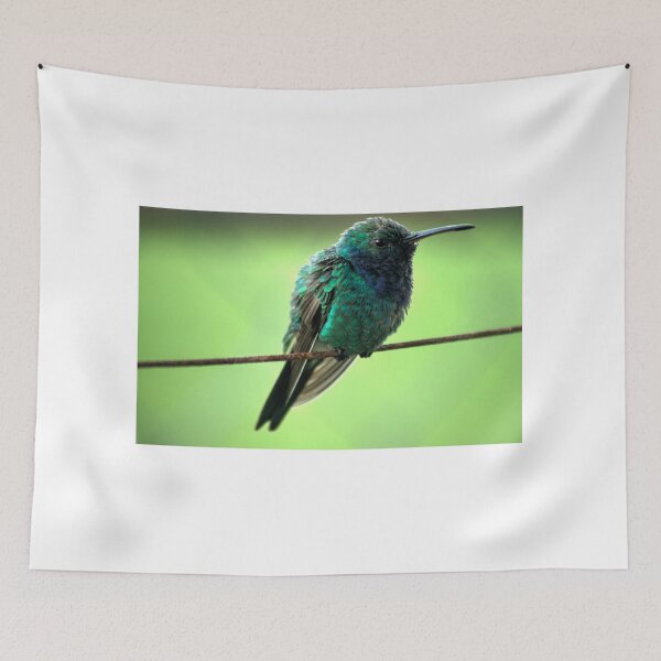 Item preview, kli hummingbird designed and sold by pcfyi.