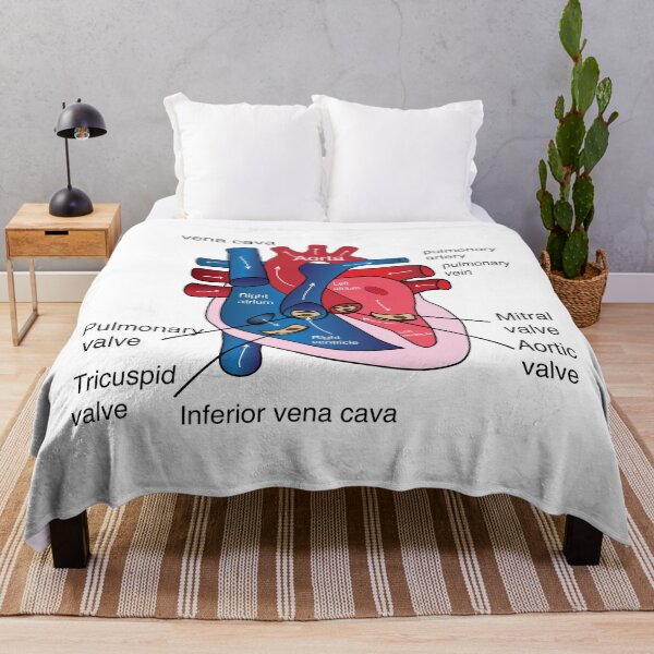 Item preview, poster of human heart anatomy with hand written labels of the main parts designed and sold by KARTICK DUTTA.
