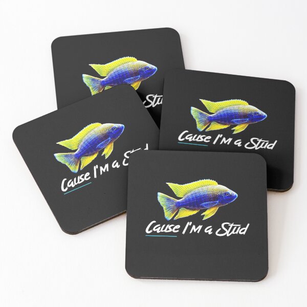 Item preview, Cause I'm A Stud designed and sold by KaveManAquatics.