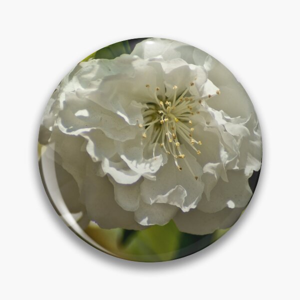 Item preview, kli white rose designed and sold by pcfyi.
