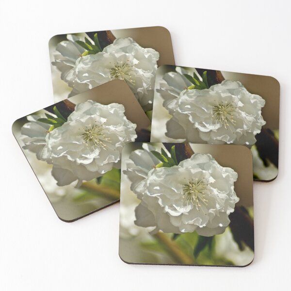 Item preview, kli white rose designed and sold by pcfyi.
