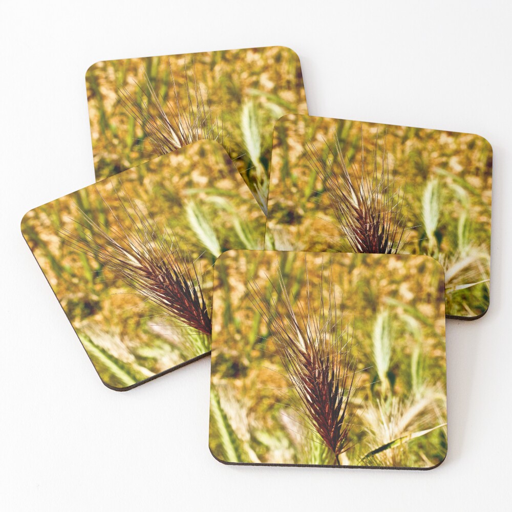 Item preview, Coasters (Set of 4) designed and sold by pcfyi.
