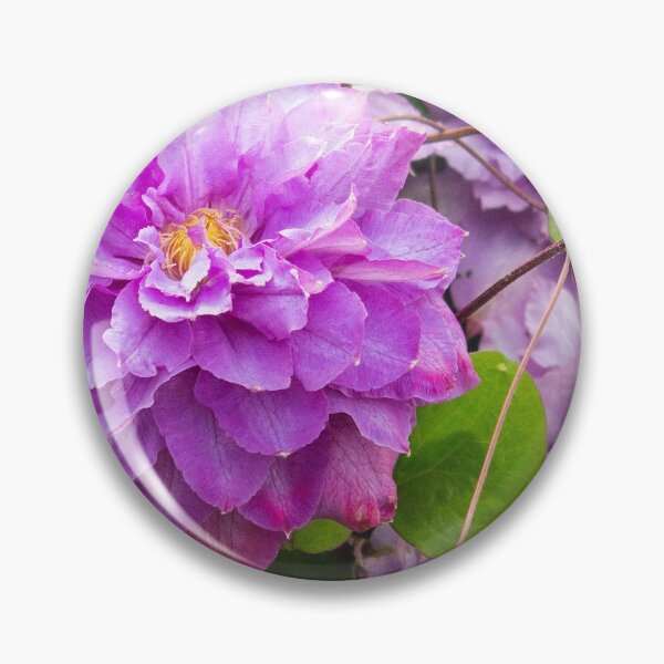 Item preview, Clematis Flower designed and sold by ellenmpics.