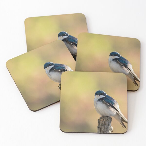 Item preview, Tree Swallow perched on branch in beautiful morning light and fog designed and sold by Rabbitti.