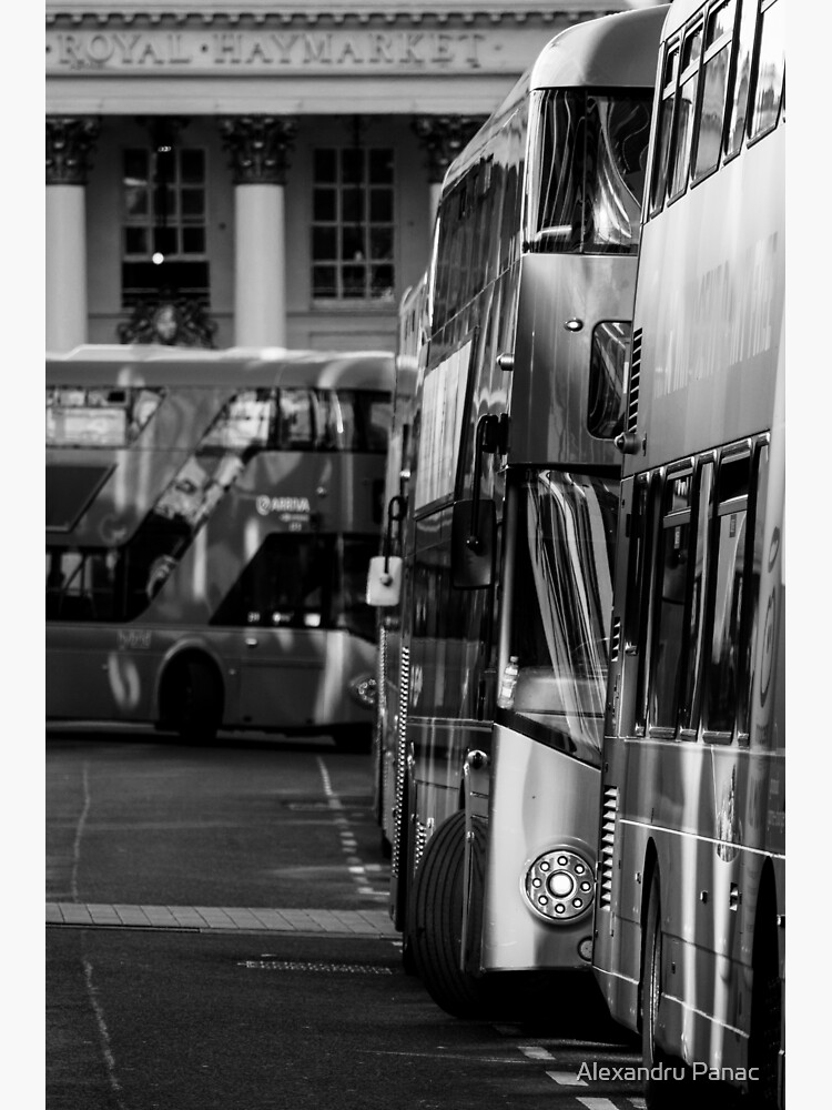 "London Buses Black and White Print" Sticker by APLC Redbubble