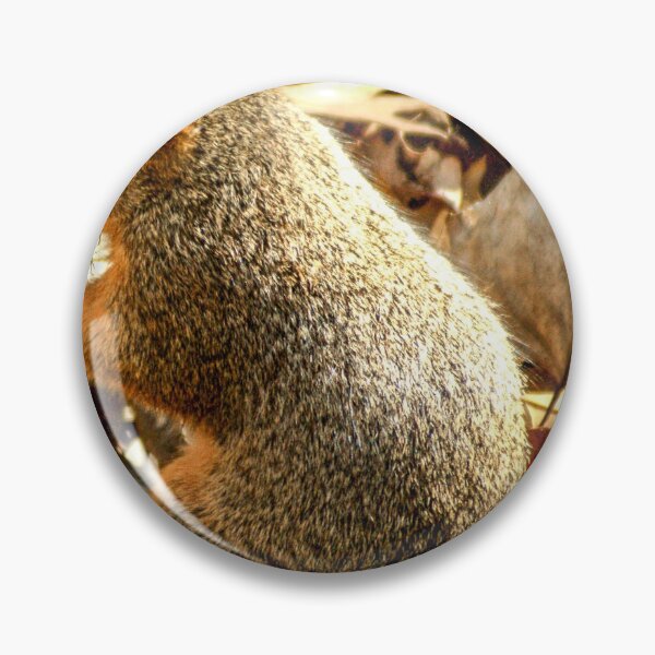 Item preview, cli squirrel designed and sold by pcfyi.