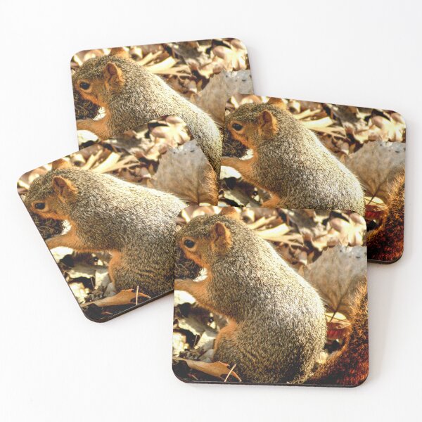 Item preview, cli squirrel designed and sold by pcfyi.
