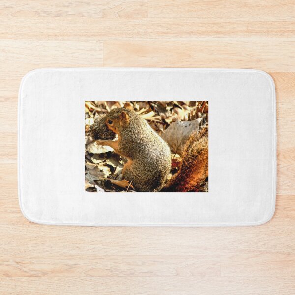 Item preview, cli squirrel designed and sold by pcfyi.