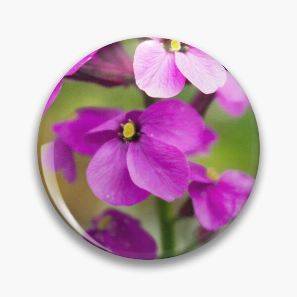 Item preview, Summer Flower designed and sold by ellenmpics.