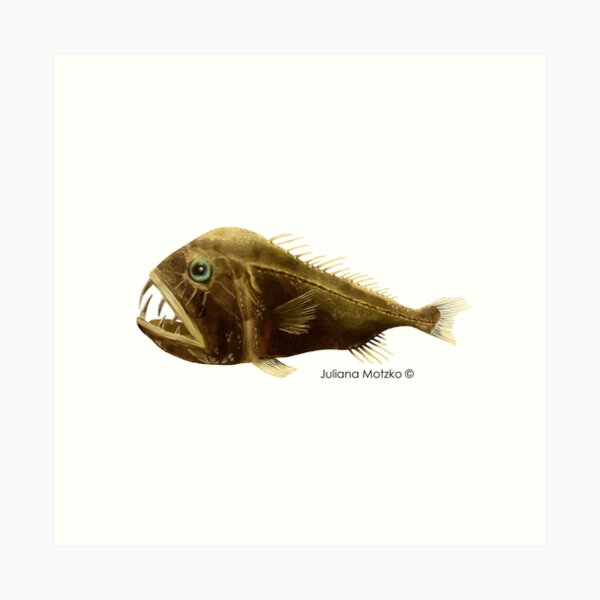 Fangtooth Fish Art Print