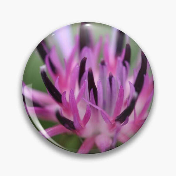 Item preview, cornflower bloom designed and sold by markspics.