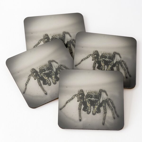 Item preview, Zebra jumping spider designed and sold by KcsArt87.