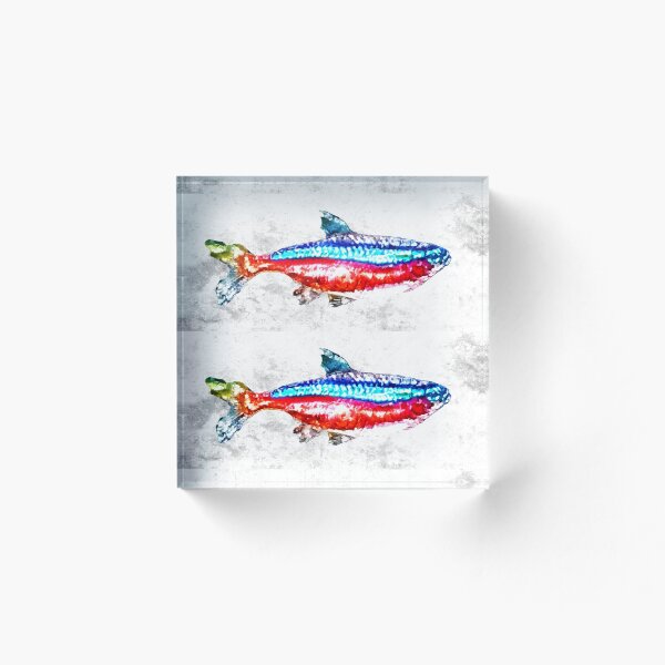 Aperçu de l'œuvre Poissons d'aquarium Cardinal Tétra créée et vendue par Daniel Janda.