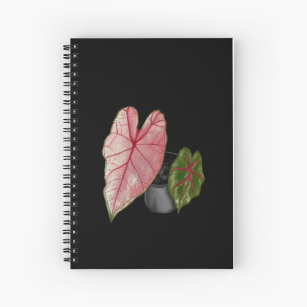 Pink Caladium Spiral Notebook