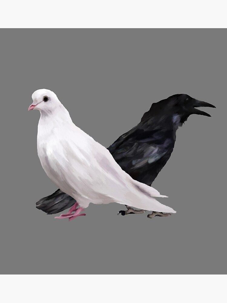 "Dove and Raven" Photographic Print for Sale by rraeart Redbubble