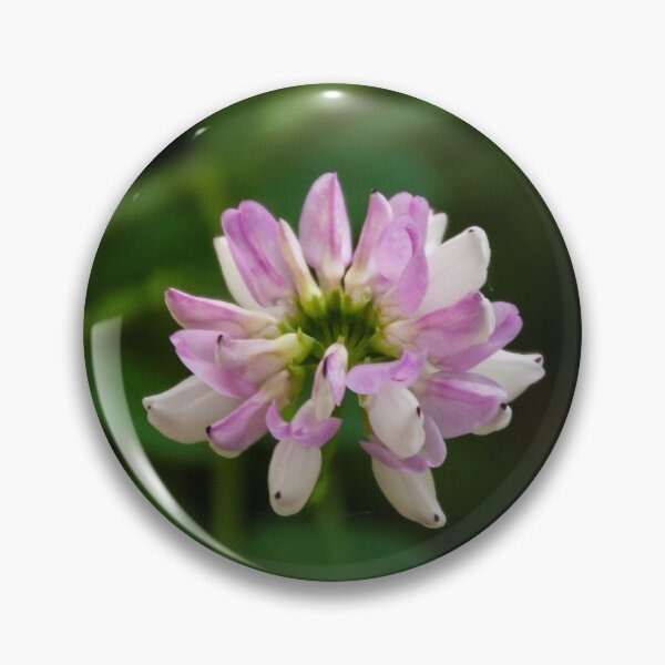 Item preview, Crown Vetch designed and sold by Bill Slader.