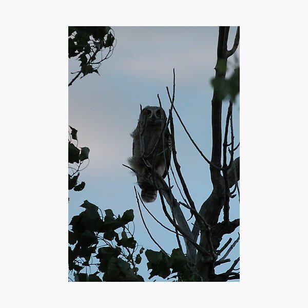 Who's Watching You? Photographic Print