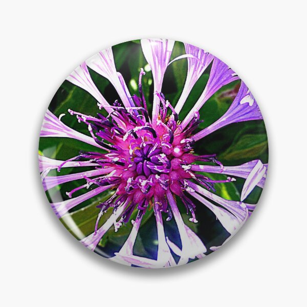 Item preview, Cornflower designed and sold by Fara.
