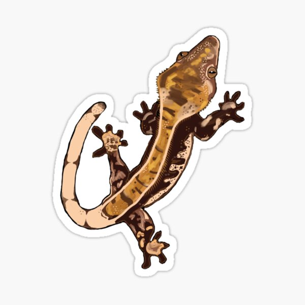 24 x 40mm Round 'Crested Gecko' Stickers SK00004389 
