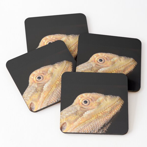 Item preview, Bearded Dragon photo designed and sold by HazyJadeOfArt.