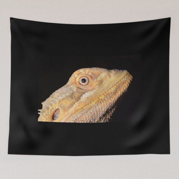 Item preview, Bearded Dragon photo designed and sold by HazyJadeOfArt.