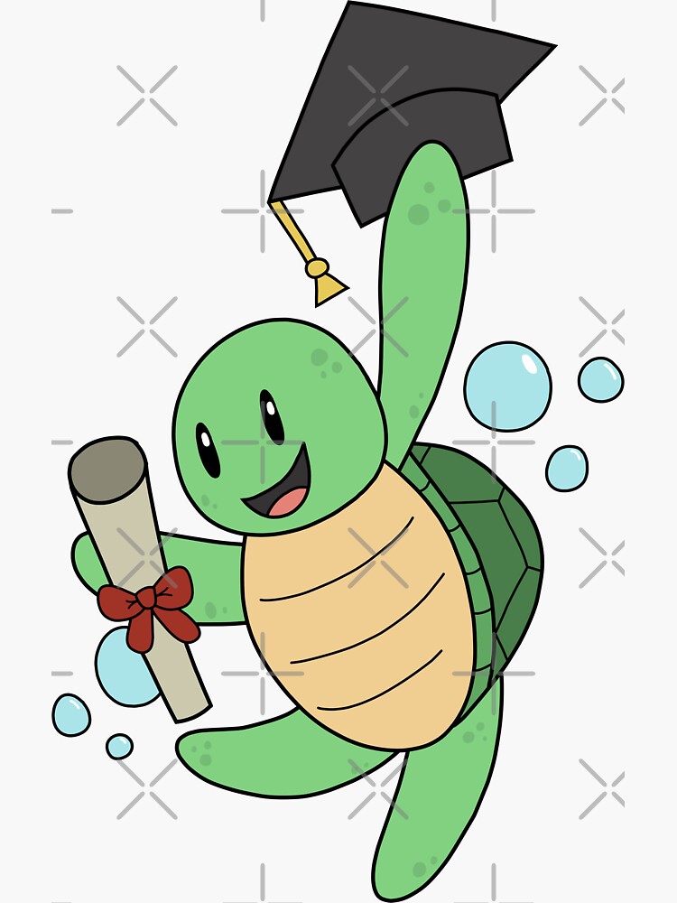 graduation turtle stuffed animal