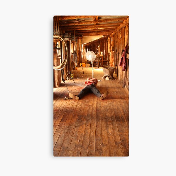 Sheep Shearing Gifts & Merchandise Redbubble