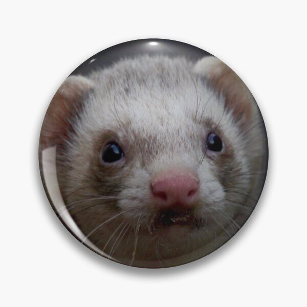 Item preview, Ferret photo designed and sold by HazyJadeOfArt.