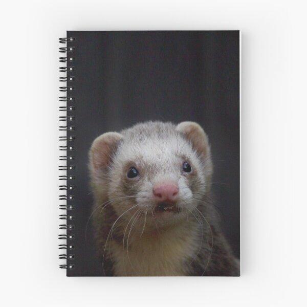 Item preview, Ferret photo designed and sold by HazyJadeOfArt.