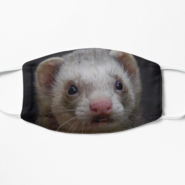Ferret photo Flat Mask