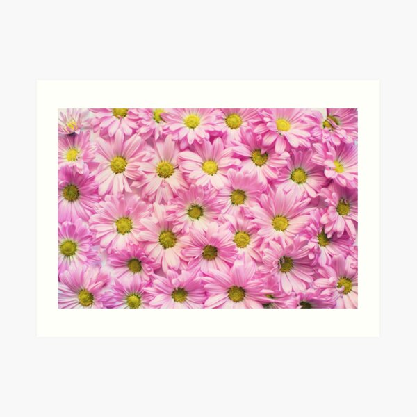 Beautiful Blooms Art Print
