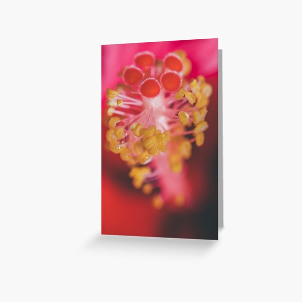 Untitled Greeting Card