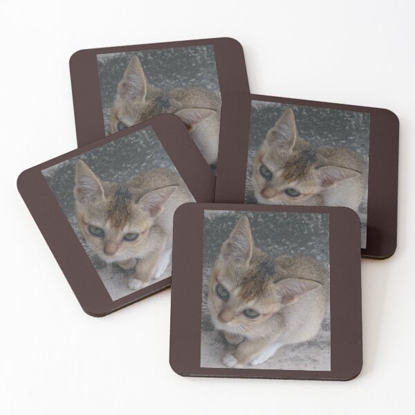 Item preview, Cute Cat designed and sold by Moni3572.