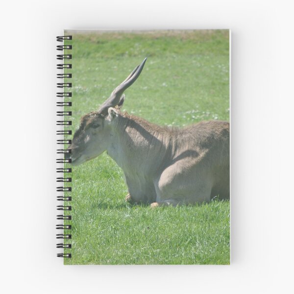 Item preview, Common Cape Eland designed and sold by Tamara McDonnell.