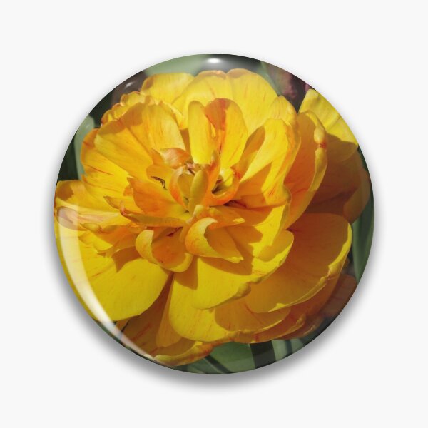 Item preview, Unusual yellow tulip designed and sold by cuisinecat2.