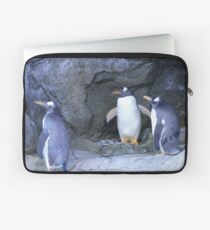 Penguins Laptop Sleeve