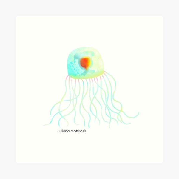 Immortal Jellyfish Art Print