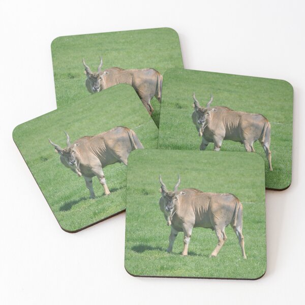 Item preview, Cape Eland designed and sold by Tamara McDonnell.