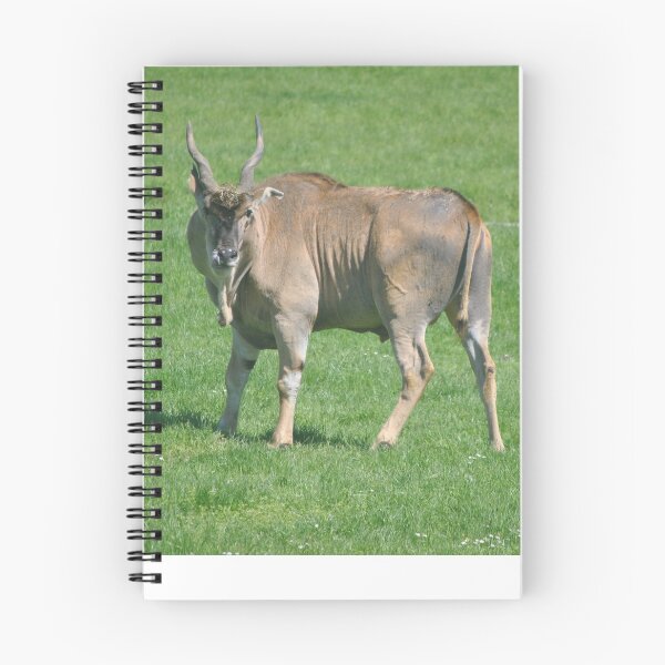 Item preview, Cape Eland designed and sold by Tamara McDonnell.