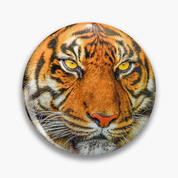 Item preview, Sumatran Tiger designed and sold by Dalyndigital Photography.