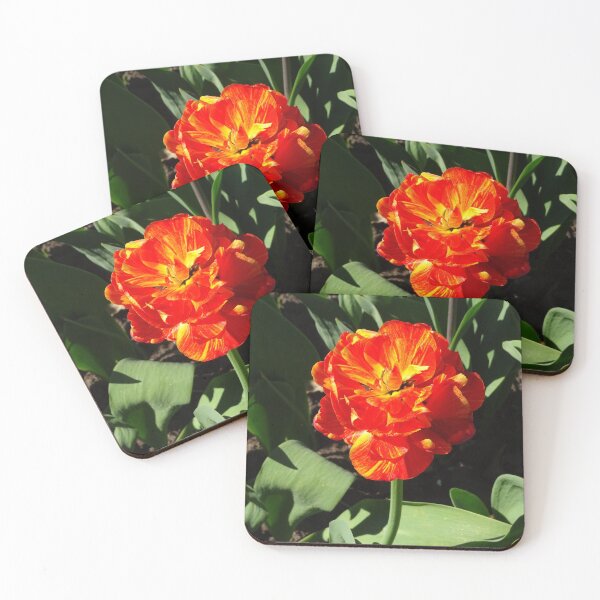 Item preview, Beautiful red and yellow tulip designed and sold by cuisinecat2.