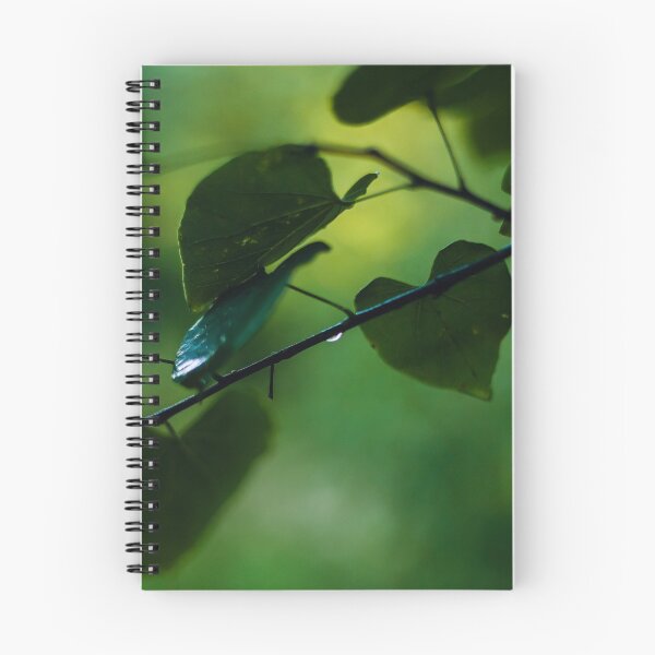 Item preview, After The Rain designed and sold by Bill Slader.