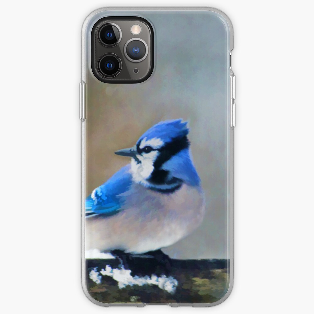 "Blue Jay" iPhone Case & Cover by alpendesigns Redbubble