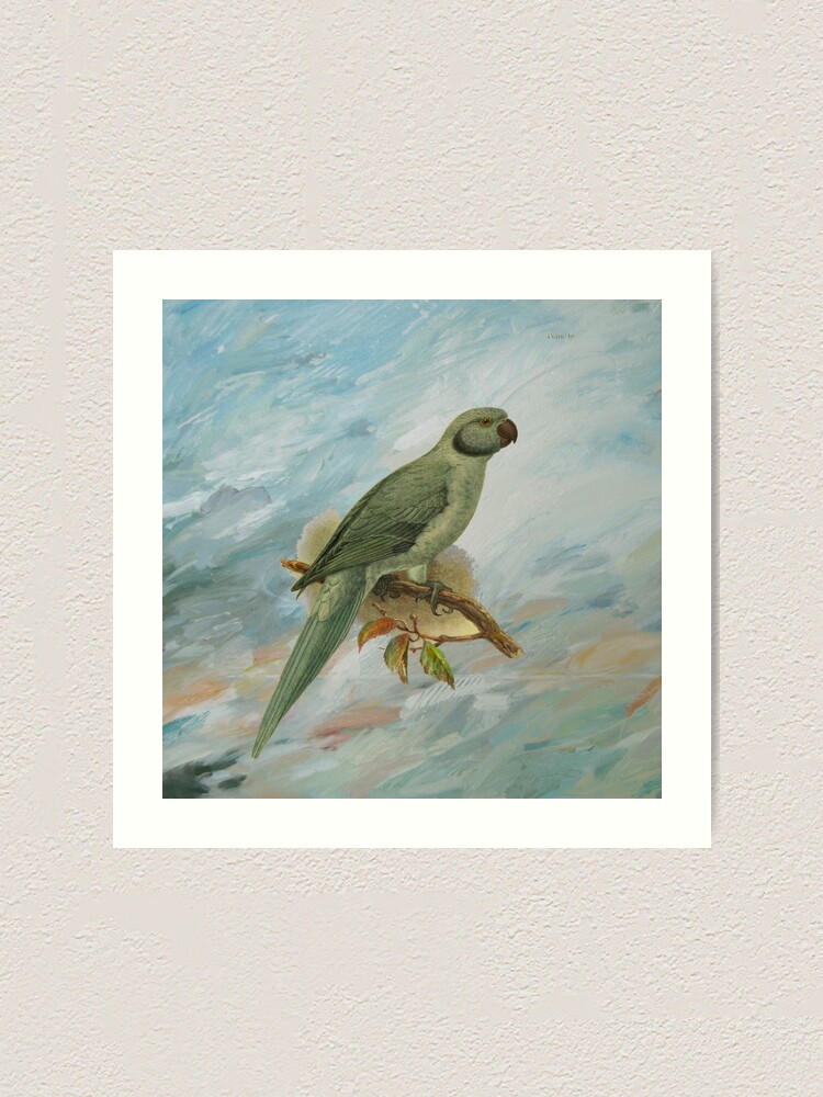 52 Koleksi Gambar Burung Lukisan HD Terbaik