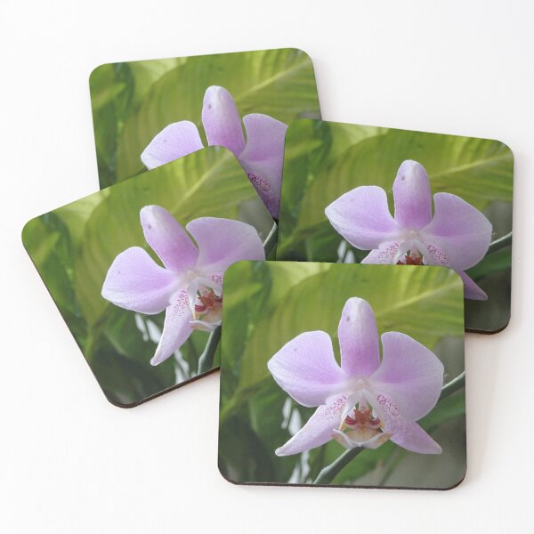 Item preview, purple and white orchid designed and sold by cuisinecat2.